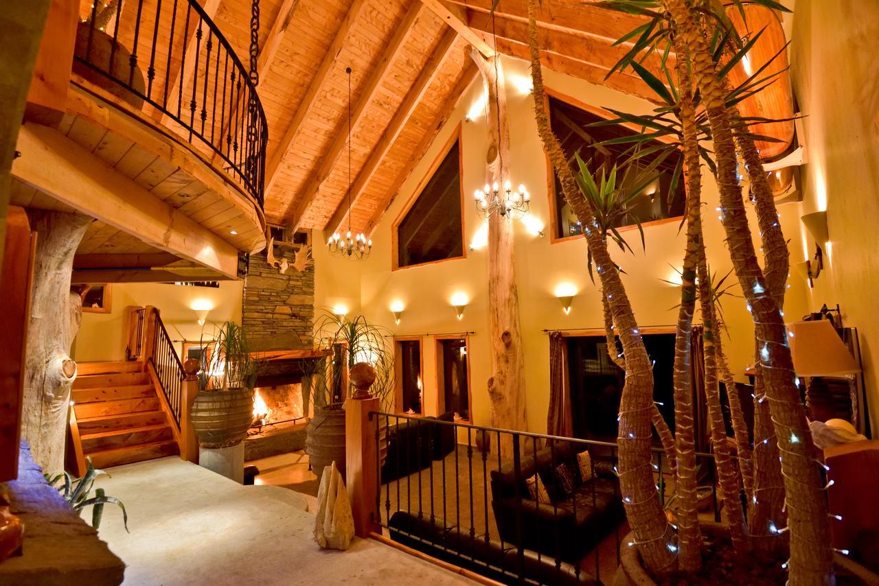 Tree House Lodge Bed & Breakfast Cheviot 외부 사진