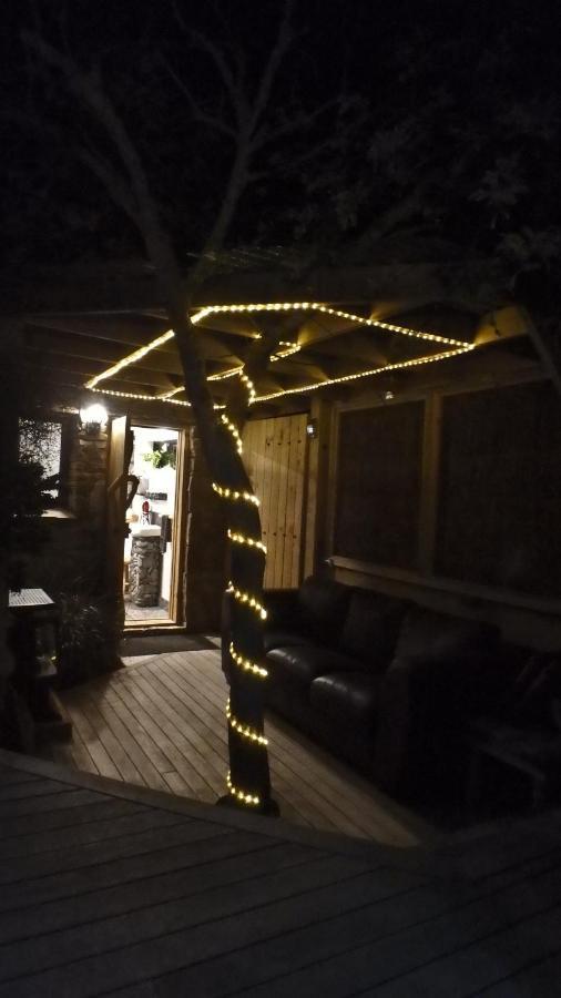Tree House Lodge Bed & Breakfast Cheviot 외부 사진
